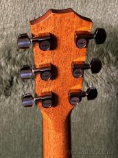 Taylor 724ce Gloss V-Class -Hawaiian Koa- #1208264080【48回迄金利0%対象】【送料当社負担】_5