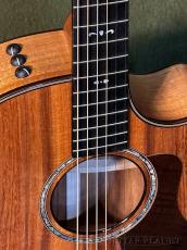 Taylor 724ce Gloss V-Class -Hawaiian Koa- #1208264079【48回迄金利0%対象】【送料当社負担】_3