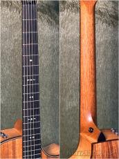 Taylor 724ce Gloss V-Class -Hawaiian Koa- #1208264079【48回迄金利0%対象】【送料当社負担】_8