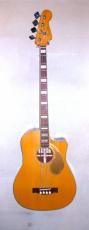 Fender Kingman bass
