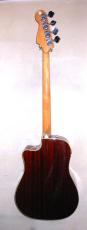 Fender Kingman bass_5