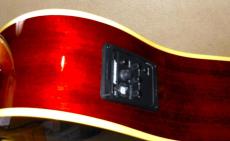 Fender Kingman bass_6