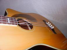 Fender Kingman bass_7