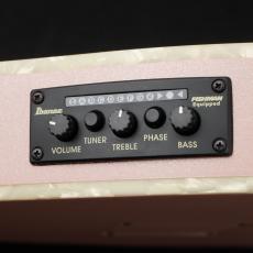Ibanez TOD10N-PAF【エレガット】【薄胴ボディ】【買取・下取強化中!】【クロサワ町田店】_9