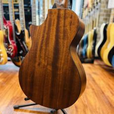 Taylor 312ce V-class_9