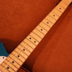 Fender Standard Telecaster LRL WPG AMM_4