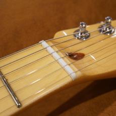 Fender Standard Telecaster LRL WPG AMM_5