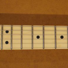 Fender Standard Telecaster LRL WPG AMM_8