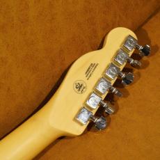 Fender Standard Telecaster LRL WPG AMM_11