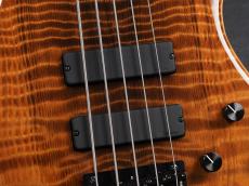 Sadowsky Metroline Special Edition 24-Fret Modern Bass 5st ML24 MS5 SE Curly Sinker Redwood ~Natural Transparent High Polish~_6