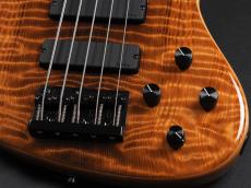 Sadowsky Metroline Special Edition 24-Fret Modern Bass 5st ML24 MS5 SE Curly Sinker Redwood ~Natural Transparent High Polish~_7