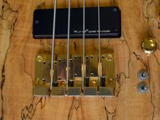 TUNE TWB-4EX Spolted Maple_8