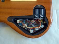 TUNE TWB-4EX Spolted Maple_15