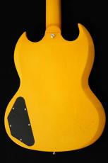Edwards E-SG-SP-LTD -TV Yellow- #ED7381253 【数量限定生産モデル】_7