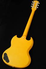 Edwards E-SG-JR-LTD -TV Yellow- #ED1381253 【数量限定生産モデル】_6