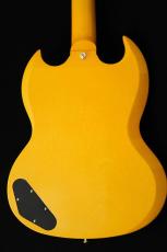Edwards E-SG-JR-LTD -TV Yellow- #ED1381253 【数量限定生産モデル】_7