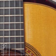 Gerhard J.Oldiges Classic (Jacaranda)_12