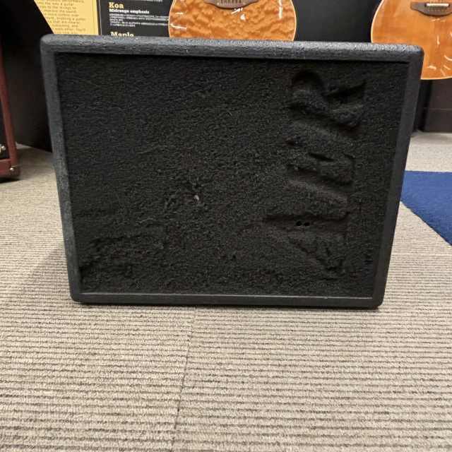 苫小牧バナナ】AER/エーイーアール アコースティックギターアンプ