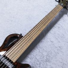 MAYONES Caledonius 6 CL 【4.75kg】_5