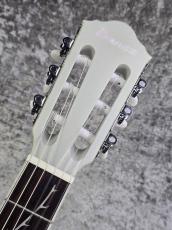 Ibanez TOD10N " Silver Metallic Flat " 【Polyphia Tim Henson Signature Model】_7