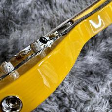 Fender American Professional Classic Hotshot Telecaster Butterscotch Blonde 【特価】_10