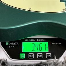 Fender American Professional Classic Telecaster Faded Sherwood Green Metallic 【特価】_11