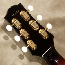 Greco GES-AT, Tabacco Sunburst_5