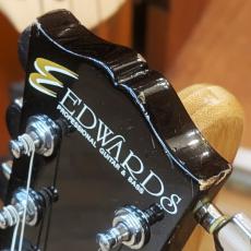 Edwards E-I-85LP IV_4
