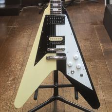 Edwards E-FV-WB BLOCK
