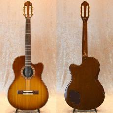 Gibson Chet Atkins CE_2