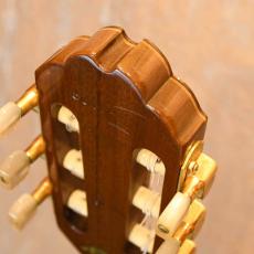 Gibson Chet Atkins CE_3