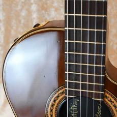 Gibson Chet Atkins CE_6