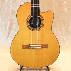 Gibson Chet Atkins CE