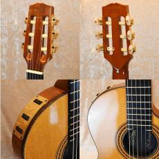 Gibson Chet Atkins CE_3