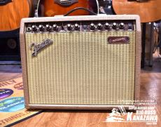 Fender Acoustic 30
