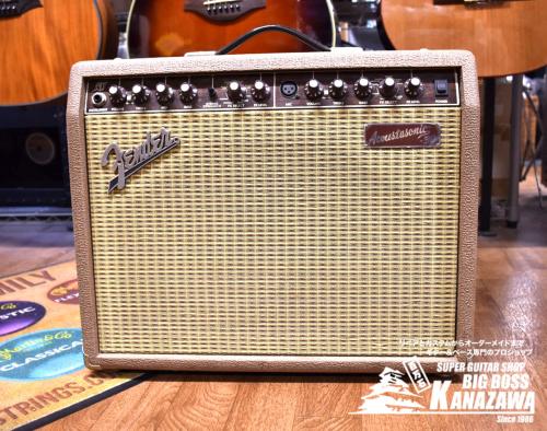 Fender Acoustic 30