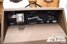 Fender Acoustic 30_4