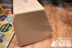 Fender Acoustic 30_5
