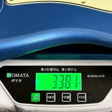 Fender American Professional Classic Stratocaster Faded Lake Placid Blue / Maple【特価】_11