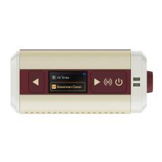 HOTONE PULZE MINI AP-5WH 【特価】_4