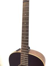 Taylor AD11e Walnut / SB_4
