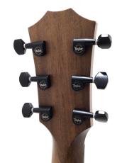 Taylor AD11e Walnut / SB_7