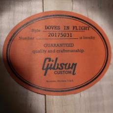 Gibson Doves In Flight_11