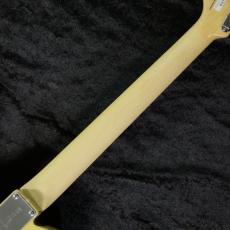 FUJIGEN 【純国産】NTE100MAH Off White Blonde #A240711【3.68kg】_9