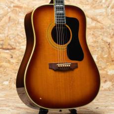 Guild D-55 1976