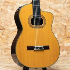 Takamine NPT-315 1991