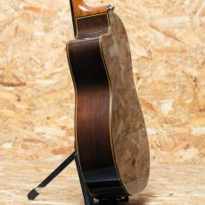 Takamine NPT-315 1991_5