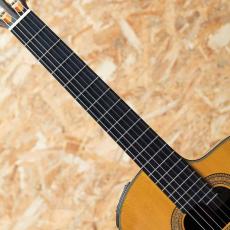 Takamine NPT-315 1991_6