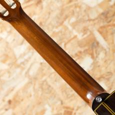 Takamine NPT-315 1991_7