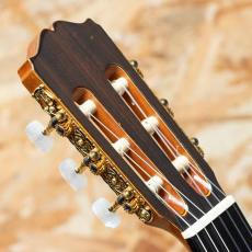 Takamine NPT-315 1991_8